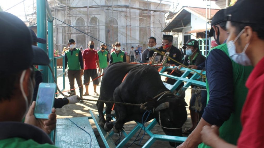 Ldii Samarinda Bagikan Daging Kurban Kepada Warga Sekitar Ldii