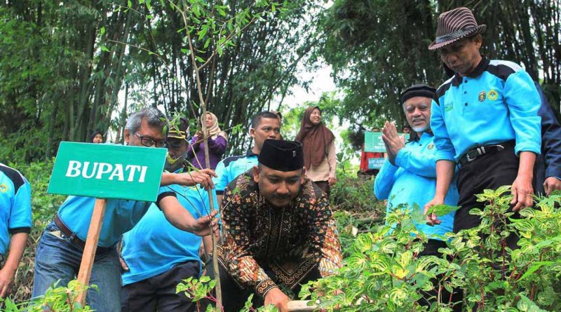 Bupati Ngawi Ony Anwar Harsono ikut menanam tanaman pada arboretum Perkebunan Teh Jamus di Girikerto, Sine, Kabupaten Ngawi, Jawa Timur. Minggu (19/2/2023). Foto: LINES