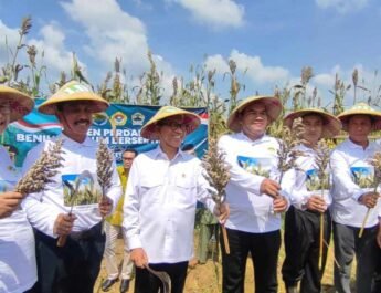 Dari kiri ke kanan Tampak Ketua Umum DPP LDII KH. Chriswanto Santoso, Prof. Singgih, Menteri Desa dan Pembangunan Daerah Tertinggal, Yandri Susanto, Bupati Blora, Arief Rohman dan pejabat lainnya. Foto: LINES